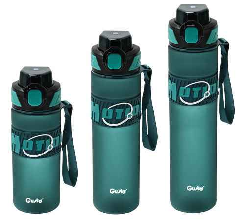 Пляшка для води GT-699020-650 FLOW 650 мл. Gusto
