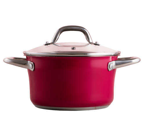 Кастрюля PR-2403-16 CAMELLIA PEPPER 16 х 9.5 см 1.6 л            