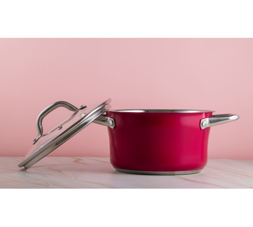 Кастрюля PR-2403-20 CAMELLIA PEPPER 20 х 11.5 см 3.3 л            