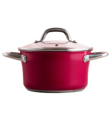 Кастрюля PR-2403-20 CAMELLIA PEPPER 20 х 11.5 см 3.3 л