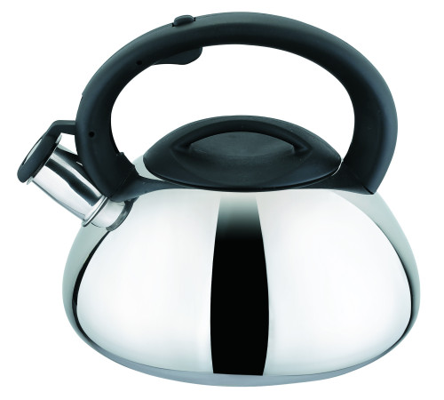 Чайник со свистком GUSTO GT-1406-30/1 3.0 л            