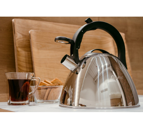 Чайник со свистком GT-1409-30 Gusto 3,0 л            